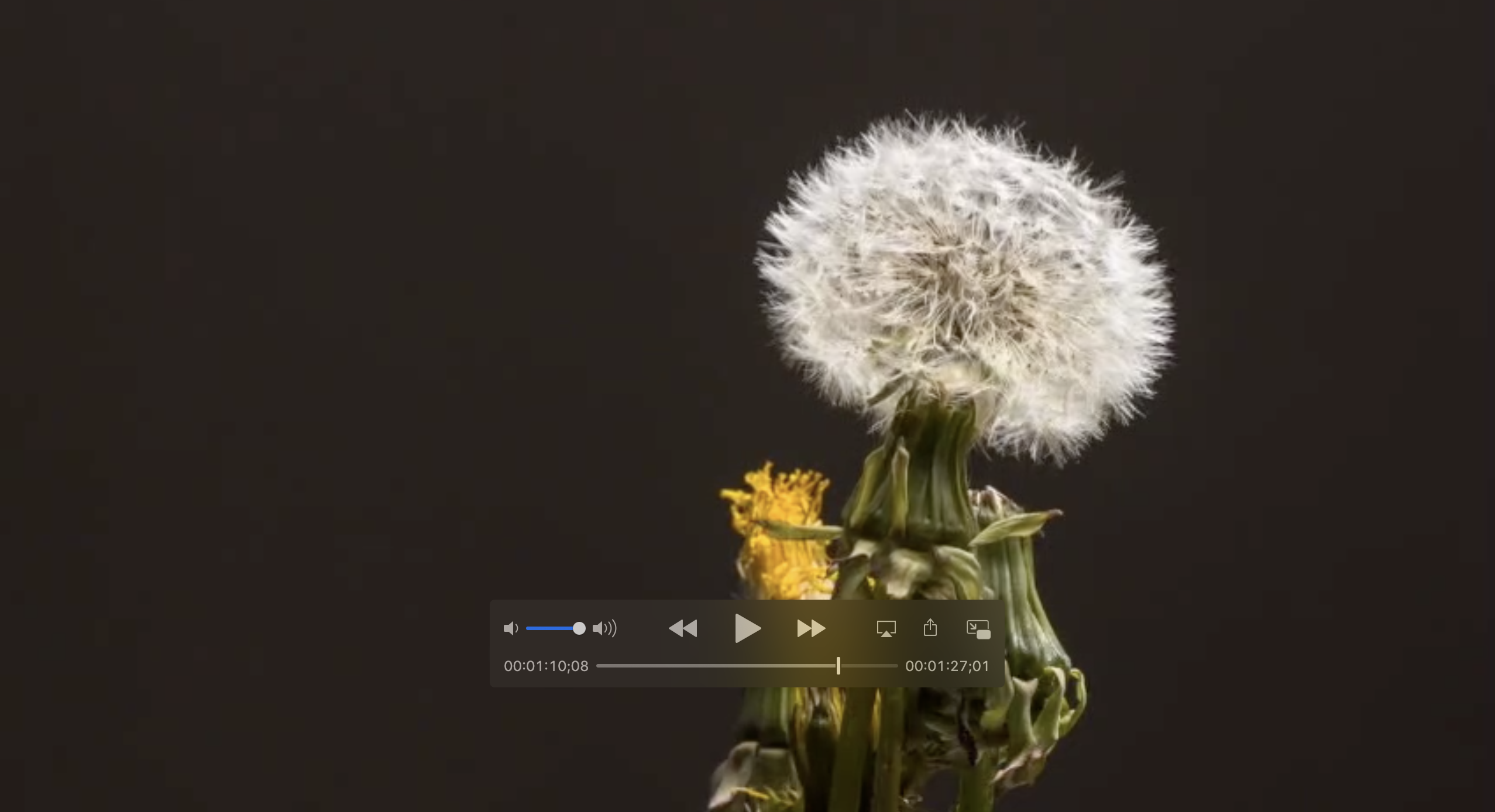 Screen Shot 2019-12-30 at 2.20.31 pm